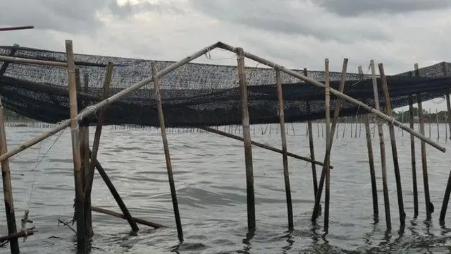 Kementerian Kelautan dan Perikanan memasang penghentian kegiatan pemagaran laut.