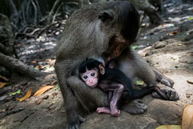 प्रातिनिधिक फोटो