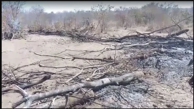 Aworan ibudo naa lẹyin ti wọn dana sun un