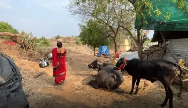 મહારાષ્ટ્ર, પાણી, ખેતમજૂરો, બીબીસી ગુજરાતી 