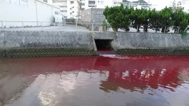 مياه النهر وقد اصطبغت باللون الأحمر