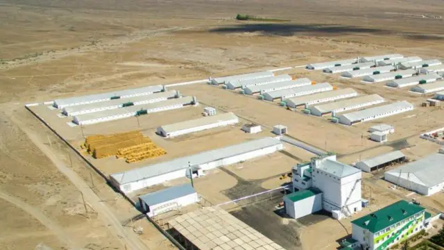 Ысык-Көл районундагы "Агро-Куш" фабрикасы