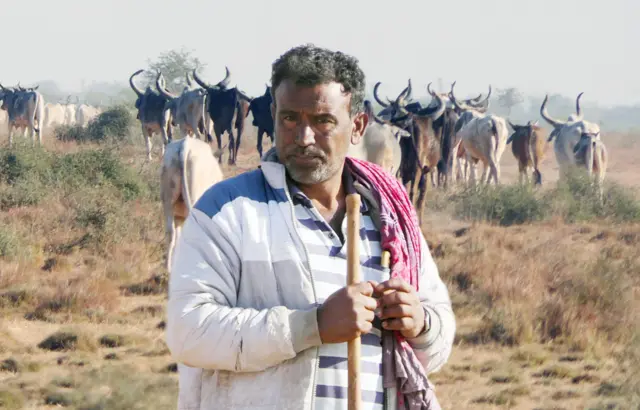 કચ્છ, ઘોરા, બીબીસી ન્યૂઝ ગુજરાતી