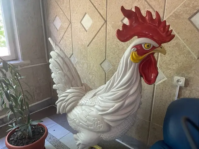 Ишкер: Биз багып, түмөн-түйшүгүн тартканыбыз менен аткезчилик менен келген жумуртка жайнап кетет...