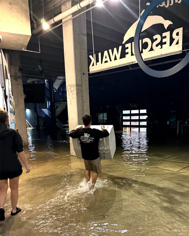 O Aquário Marinhoesporte da sorte cupomClearwater é um dos que sofreu danos significativos durante a passagem do furacão Helene.