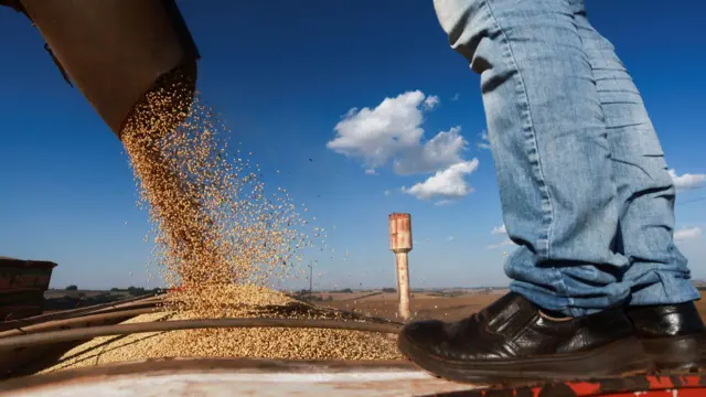 A imagem mostra grãos de soja sendo despejados por um tubo metálico sobre um caminhão ou reboque durante a colheita. Em primeiro plano, aparece um trabalhador de botas e calça jeans acompanhando o carregamento, enquanto ao fundo se vê uma paisagem de lavouras sob um céu azul com poucas nuvens.