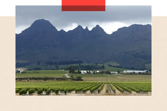 Vineyards dey under di hills for farm for South Africa