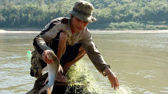 သံလွင်မြစ်ထဲကနေ ငါး၊ ခရုတွေကို စားသောက်ကြတာ၊ ငါးဖမ်းပြီး အသက်မွေးကြရသူတွေလည်း ရှိပါတယ်။  (ပုံဟောင်း)