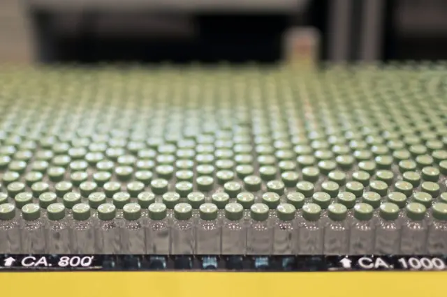 Viales de semaglutida en una línea de producción