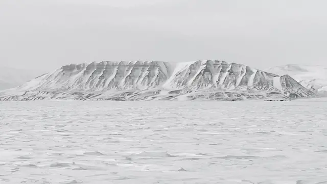 Білий засніжений пейзаж, на задньому тлі білі гори