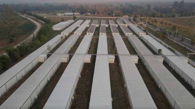 Tossapol Chaisamritpol/BBC Thai