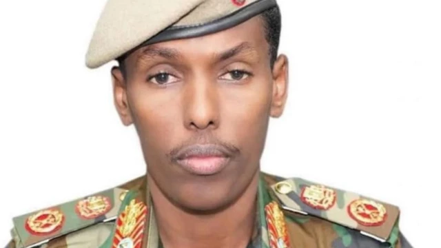 Pamela Anderson Tom Lining qolini soradi