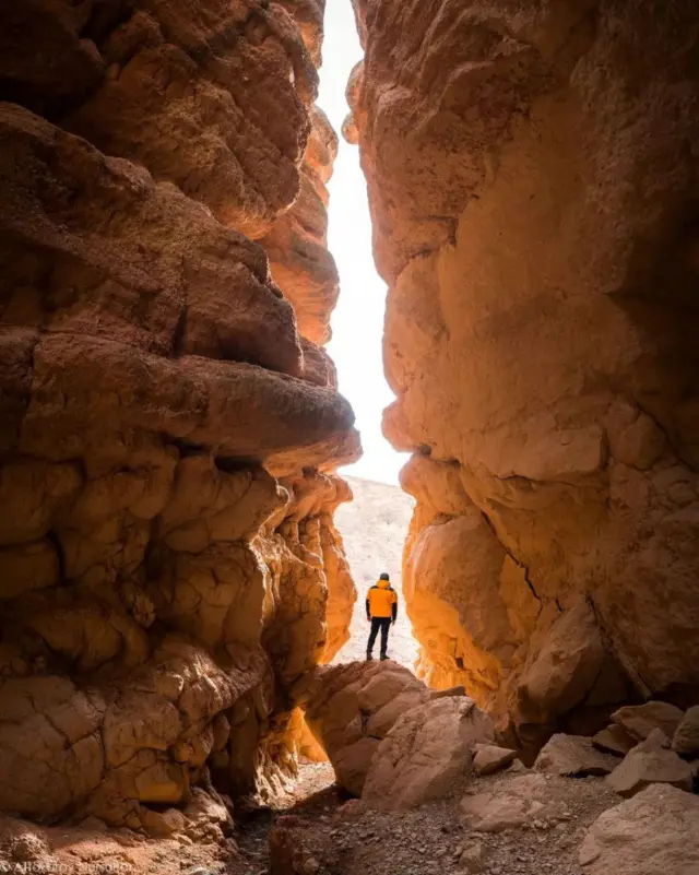 Сүрөттөр сүйлөсүн...