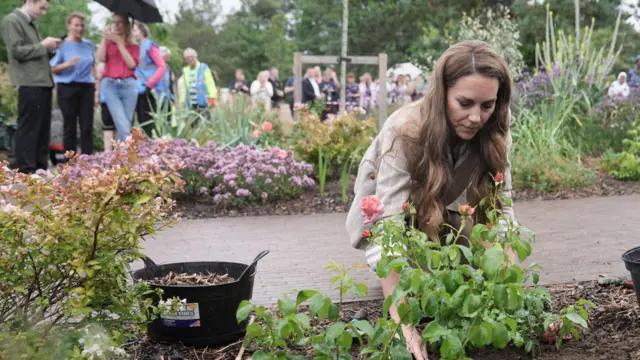 Księżna Walii sadzi róże w Colchester, Essex
