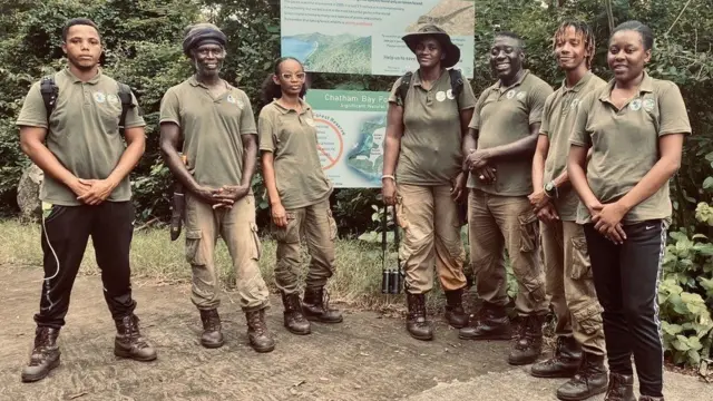 சின்னஞ்சிறு பல்லிகளை காக்க புதிய படை