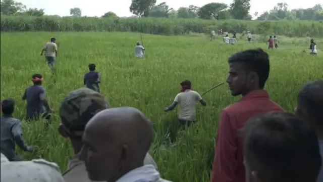 பஹ்ரைச், அச்சுறுத்தும் ஓநாய், உத்தரபிரதேசம்