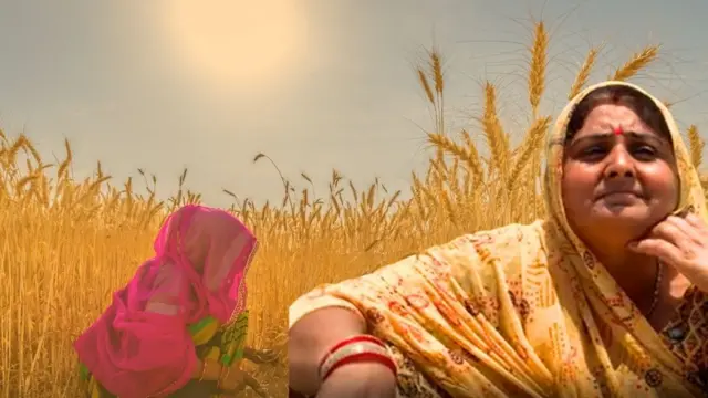 ઉનાળામાં મહિલા ખેડૂતોની સ્થિતિ