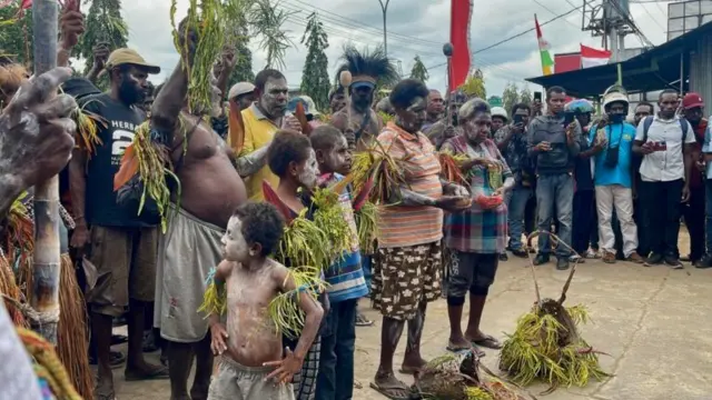papua, pangan, hutan, politik