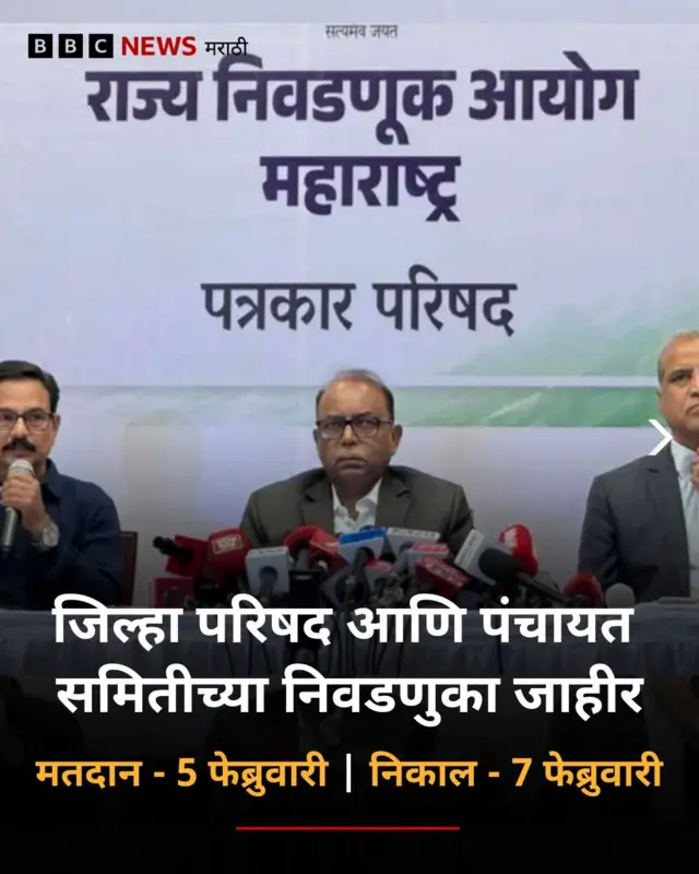 निवडणुका