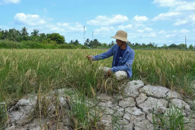 Sinh kế của hàng triệu người dân tại Đồng bằng sông Cửu Long phụ thuộc vào nguồn nước sông Mekong
