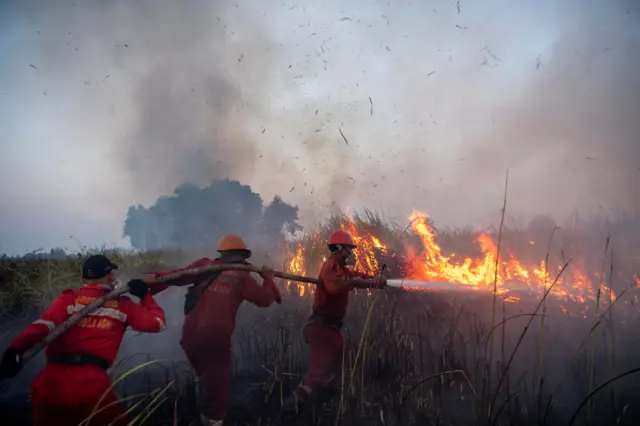 Petugas dari Manggala Agni Daops Sumatera XIV-Banyuasin berusaha memadamkan kebakaran lahan di Desa Arisan Jaya, Pemulutan Barat, Ogan Ilir (OI), Sumatera Selatan, Senin (3/8/2026). Petugas dari Manggala Agni Daops Sumatera XIV-Banyuasin dibantu warga masih berupaya memadamkan kebakaran lahan di daerah tersebut. 