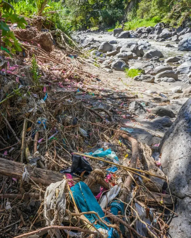 Ramas y basura en la orilla de un río.