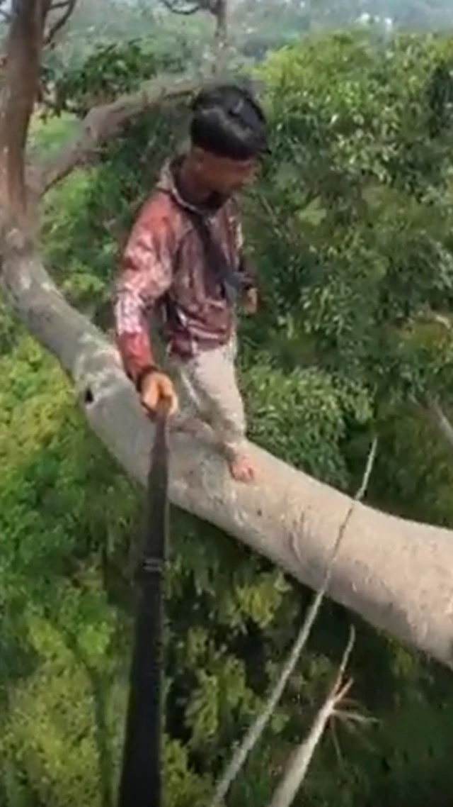 ઇન્ડોનેશિયા