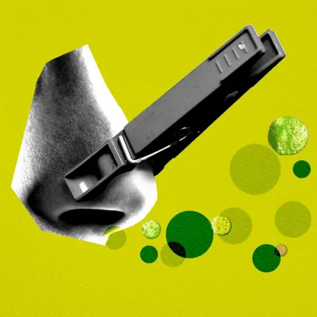 દુર્ગંધની તમારા શરીર ઉપર શું અસર થાય, દુર્ગંધ શું છે તે તમને કેવી રીતે અસર કરે, શા માટે દુર્ગંધથી દૂર રહેવું જોઈએ, દુર્ગંધની કઈ બીમારી થાય, બીબીસી ગુજરાતી