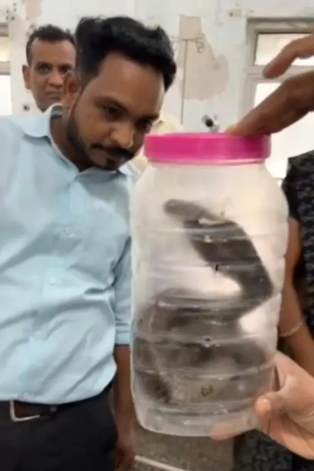 ஜாடியில் அடைத்து வைக்கப்பட்டுள்ள பாம்பை பார்க்கும் மருத்துவர்