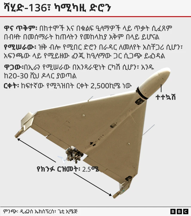 የሻሂድ ድሮን 