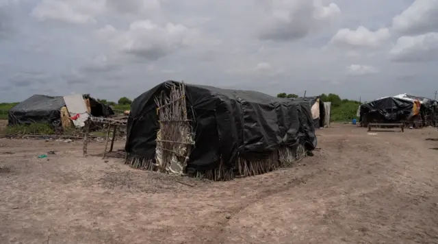 બીબીસી ગુજરાતી, ગુજરાત, મિત્તલ પટેલ, બીબીસી, વિચરતી જનજાતિ અને વિમુક્ત સમુદાય