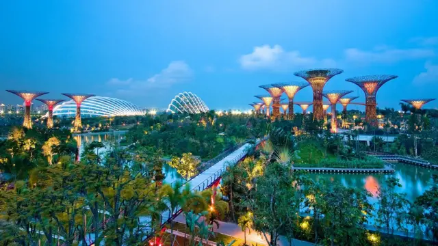 सिंगापुर 