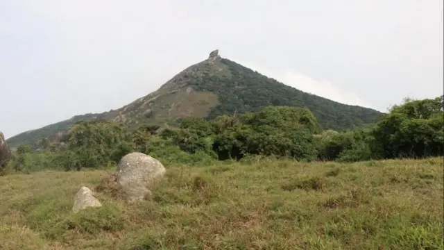 கோவை, வெள்ளியங்கிரி, மலையேற்றம், மரணம்
