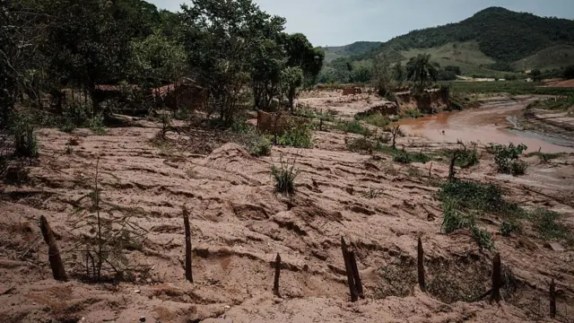 Terra cheiabônus de registro grátislama