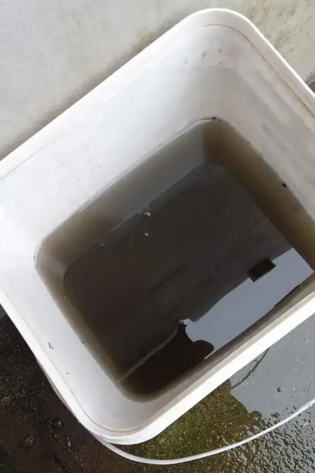 برازیل، کالی بارش