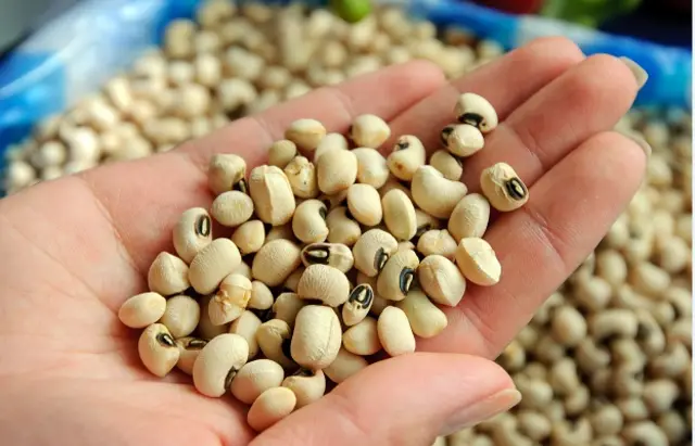 Темир Сариев өкмөттү жетектеп турган учурда эттин оордуна буурчакты көбүрөк пайдалануу чакырыгы менен чыгып, шакабага кабылган жайы бар...