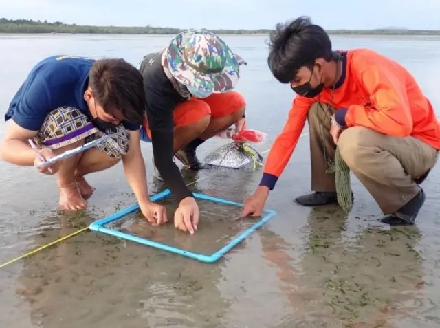 สถานวิจัยความเป็นเลิศความหลากหลายทางชีวภาพแห่งคาบสมุทรไทย ม.อ. จัดอบรมให้กลุ่มอาสาสมัครพิทักษ์ดุหยง เกาะลิบง ประเมินสถานภาพหญ้าทะเลบริเวณเกาะลิบง 