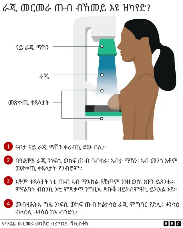መርመራ ጡብ ዝካየደሉ መስርሕ