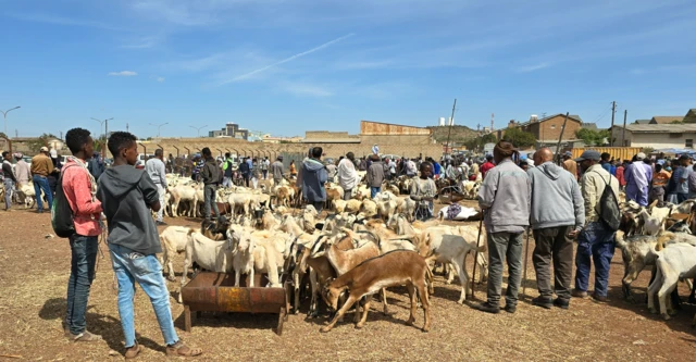 ዕዳጋ ጤለ በጊዕ ከባቢ ቀሓውታ