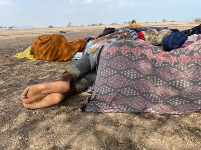 ኣብ ትሕቲ ገረብ ደቂሶም ዘለው 