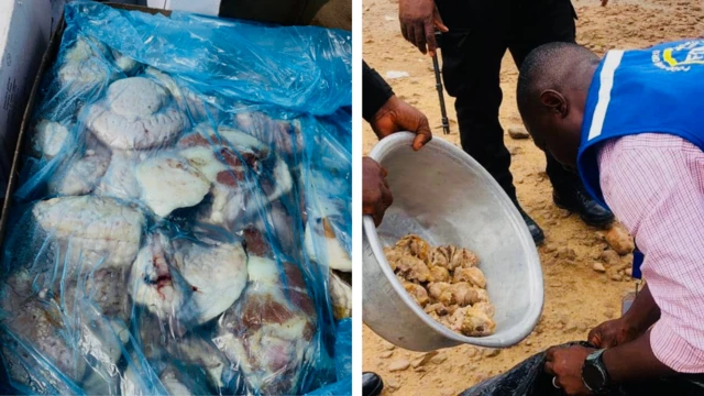 Vendors say they have sold turkey tail for many years