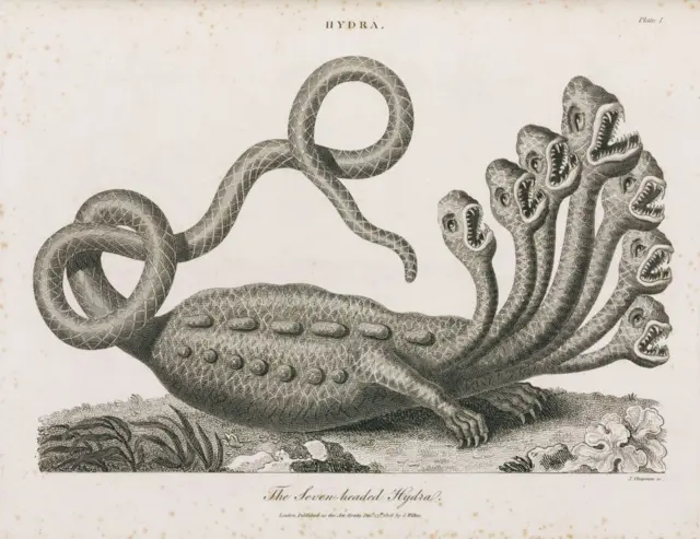 The Seven-headed Hydra�, 1806. GREECE - SEPTEMBER 04: Engraving by J Chapman of the many-headed monster of Greek mythology. To kill the monster was the second labour of Hercules. He did this by cutting off each head and then burning the neck to prevent two new heads appearing. Illustration from �Encyclopaedia Londinensis, or, Universal Dictionary of Arts, Sciences, and Literature� published in London, 1810-1829. (Photo by SSPL/Getty Images)