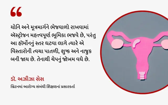 સેક્સ, મેનોપોઝ, બીબીસી, બીબીસી ગુજરાતી