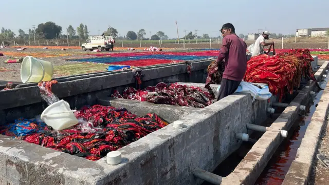 જેતપુર સાડી ઉદ્યોગ, પોરબંદરની ખાડીમાં પાણી પ્રદૂષણ, જળપ્રદૂષણ, ભાદરમાં પાણી પ્રદૂષણ, લોકોને ચામડીના રોગો, જેતપુર સાડી ઉદ્યોગ ખેતીને અસર, બીબીસી ગુજરાતી ગ્રાઉન્ડ રિપોર્ટ