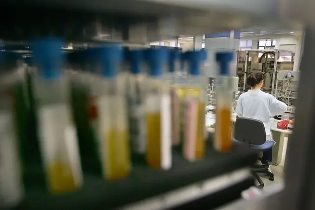 प्रातिनिधिक फोटो