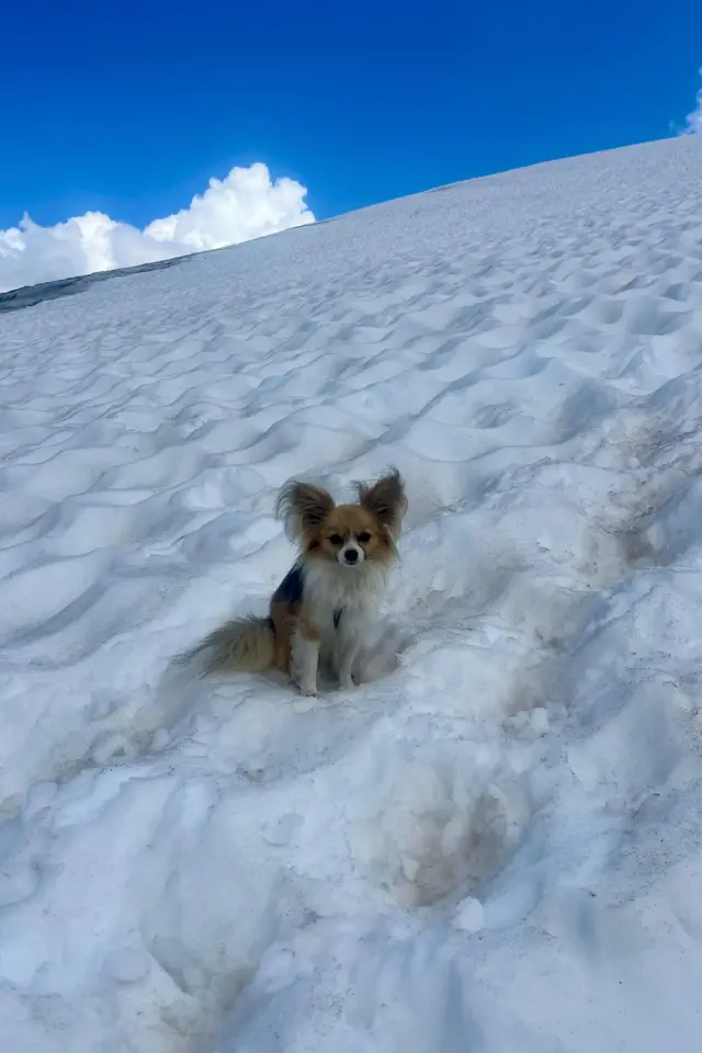 Filip en mitad de la nieve esperando a los rescatistas.