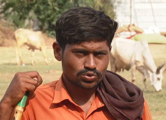 મોઢેરા સોલાર પ્રોજેક્ટ