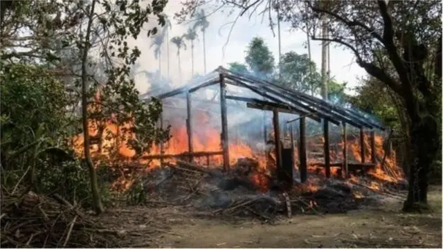 ২০১৭ সালের একটি ছবি যেখানে একটি ঘর আগুনে পুড়ছে, পাশে কয়েকটি গাছ