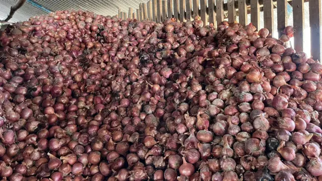 भाववाढीच्या अपेक्षेनं ज्यांना शक्य आहे ते शेतकरी कांदा साठवून ठेवतात.