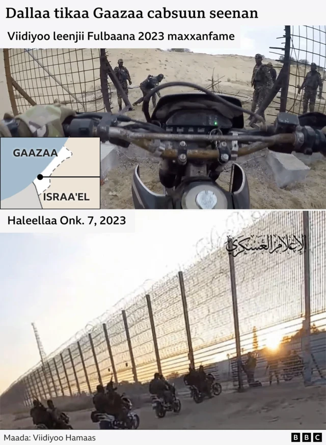 Hidhattoonni guyyaa haleellaatiin dura haalaan qophaa'aa turan